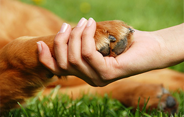 Nail Trim